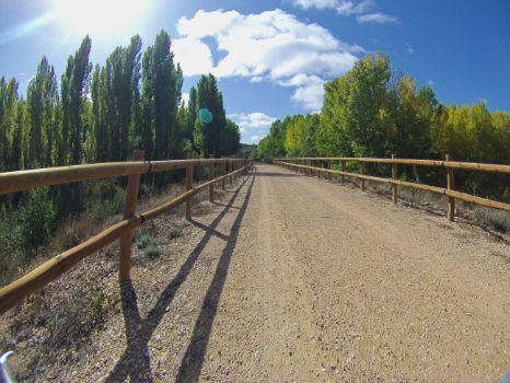 Talanqueras con choperas a ambos lados del trazado