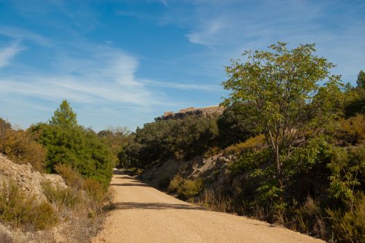 Ruinas del castillo Casas de Lázaro