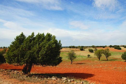 Paisaje agrícola de la zona