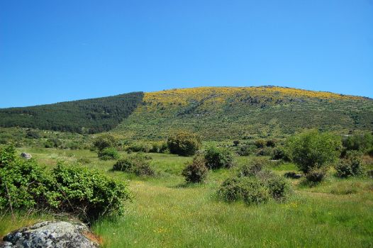 Panorámica de la Ladera Pelada