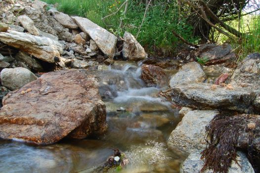 Arroyo de la Pedriza