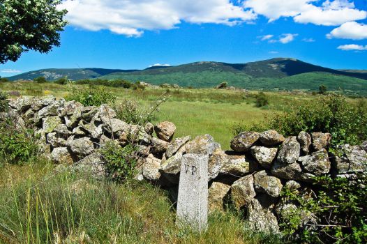 Mojón de piedra indicativo de vías pecuarias