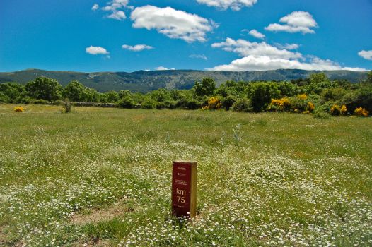 Punto kilométrico 75 del Camino Natural de la Cañada Real Soriana Occidental