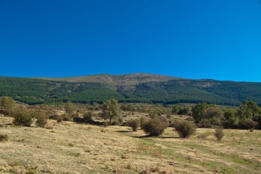 Sierra de Guadarrama desde Camino Natural