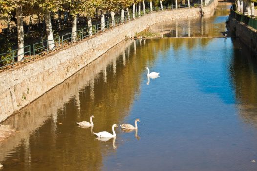 Río Aguisejo en Ayllón