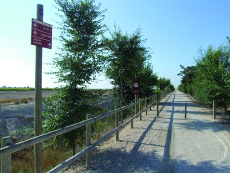Vista del Ramal El Salobral tras superar el cruce con el camino de La Bacariza