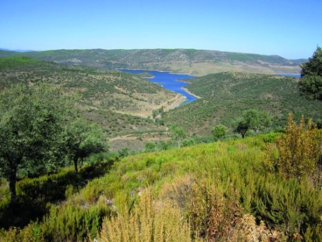Vista del embalse de Cíjara desde el camino