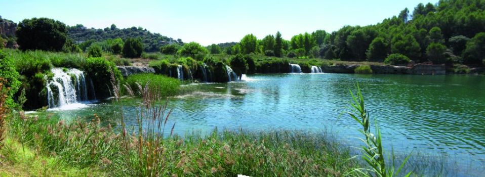 Laguna Lengua