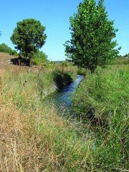 Río Pinilla