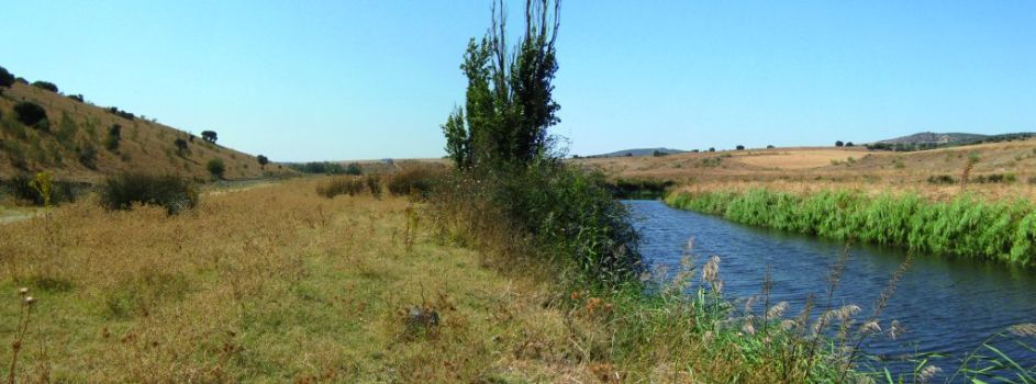 Camino entre Cerro Pelón y el río Guadiana en zona protegida