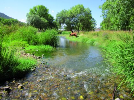 Río Guadiana a la altura del vado de Luciana