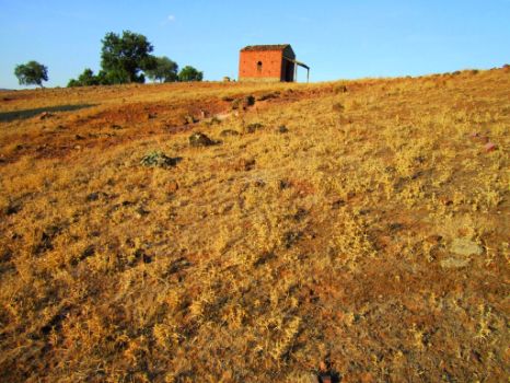 Ermita de San Isidro