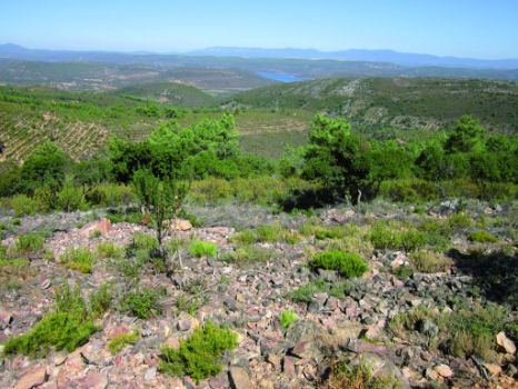 Paisaje en el primer tramo del Camino