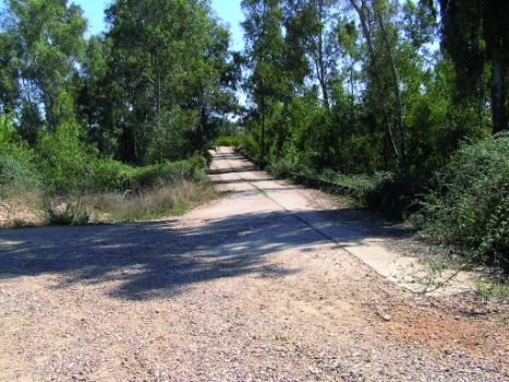 Cruce del afluente Zújar