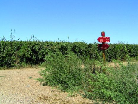 Carteles del camino en un cruce señalizado