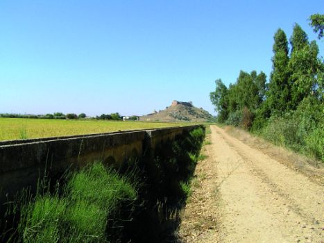 Camino paralelo a la acequia con el castillo de Medellín al fondo