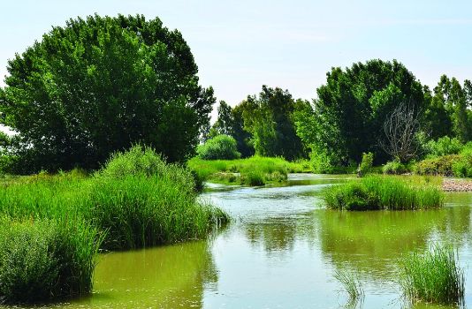 Desembocadura del Zújar en el Guadiana