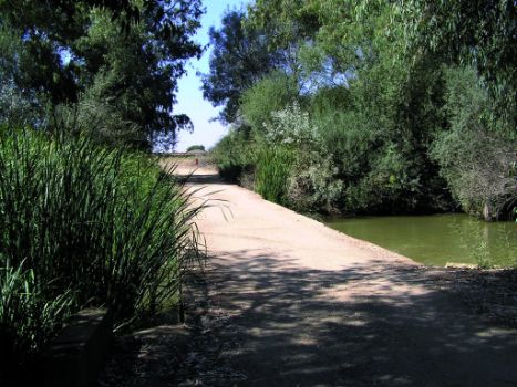 Cruce sobre el Guadámez