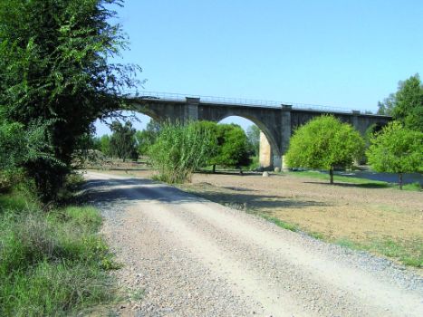 Zona de descanso. Coto de pesca sin muerte, bajo el puente de la línea de ferrocarril