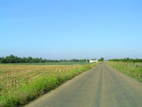 Paisaje de cultivos agrícolas típicos de la zona