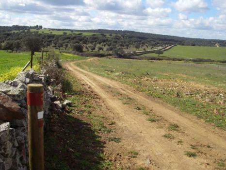 El camino atraviesa pastos y dehesas en su recorrido
