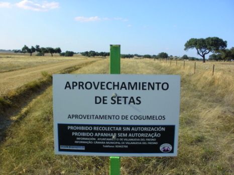 Zona de aprovechamiento de setas con autorización