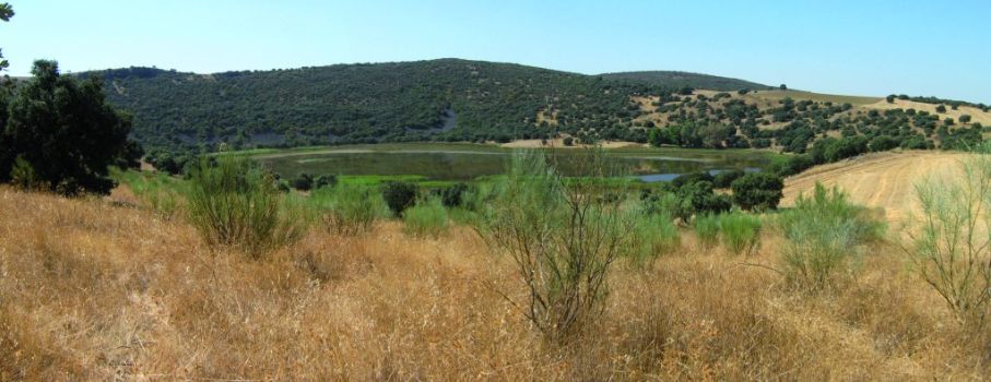 Laguna de La Posadilla