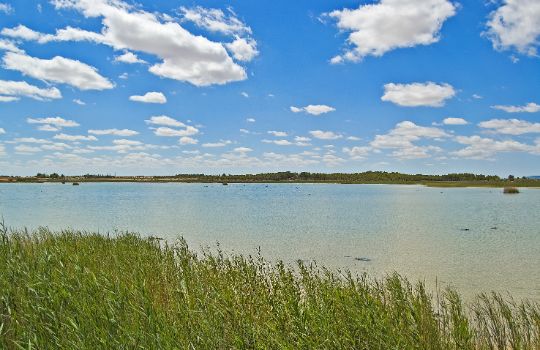 Laguna Chica de Villafranca de los Caballeros