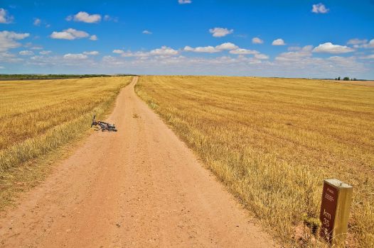 Panoramic view of the La Mancha Wetlands Nature Trail