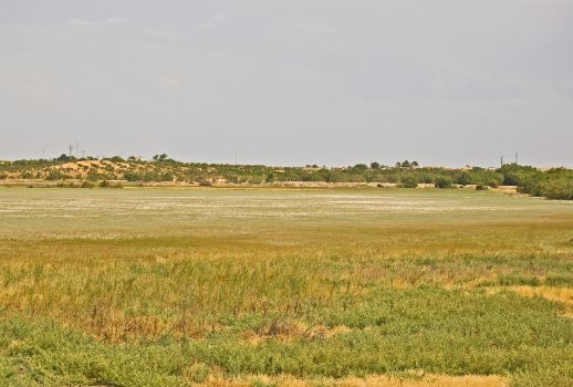 Laguna del Pueblo de Pedro Muñoz