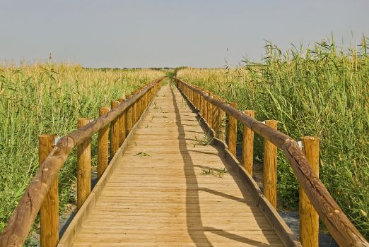 Pasarela por la Acequia Madre de la Laguna de Manjavacas