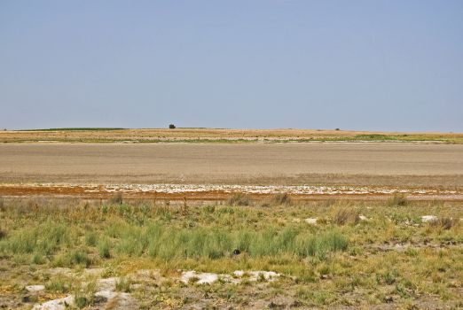 Laguna de la Dehesilla