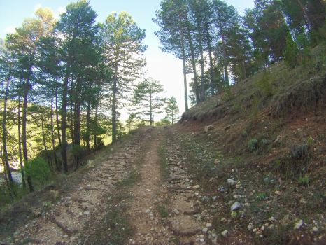 Camino Natural del Júcar cerca del nacimiento del río