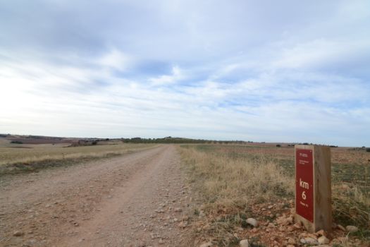 Paisaje de pastos, cultivos herbáceos y frutales