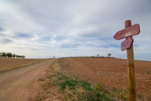 Paisaje de pastos, cultivos herbáceos y frutales
