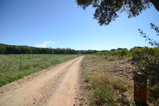 El Camino Natural entre viñedos y cultivos de cereal