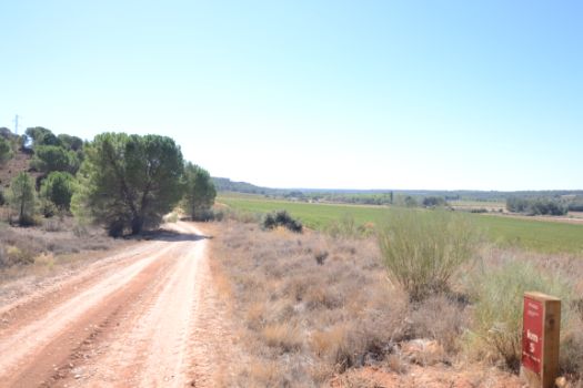 El paisaje más típico de gran parte del camino, entre cultivos y monte mediterráneo