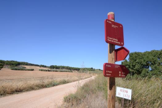 Cruce del Camino con la Cañada Real de Andalucía