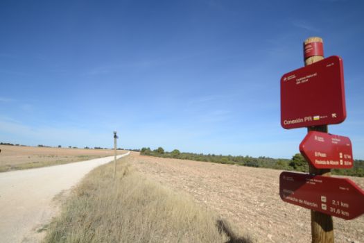 El camino natural se cruza con el PR-CU-71 en un entorno agrícola