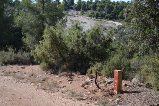 Gran parte de esta etapa discurre por un paisaje de pinos carrascos, encinas, enebros y otros matorrales mediterráneos