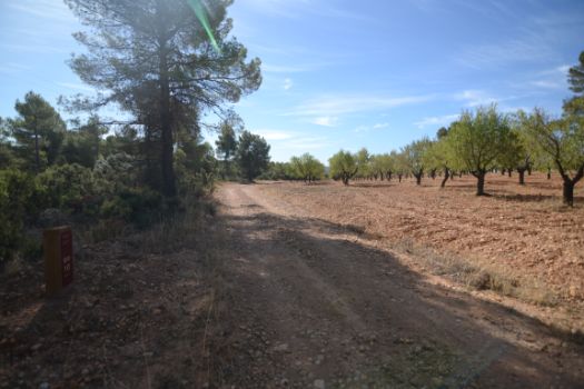 En ocasiones el camino vuelve a encontrarse con explotaciones agrícolas