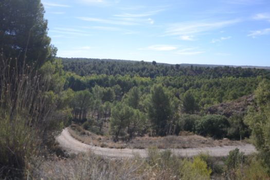Tras cruzar el canal del trasvase Tajo-Segura, la etapa emprende una empinada bajada para llegar a la orilla del Júcar