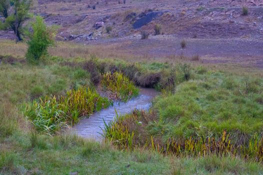 Río Júcar cerca del Cordel de Huélamo