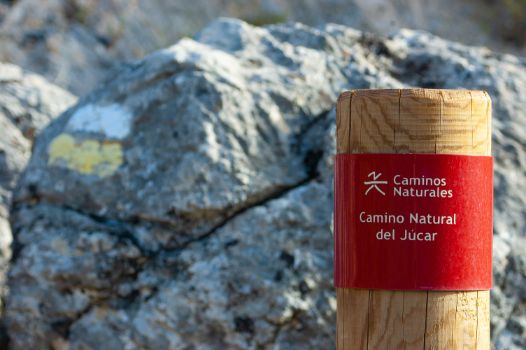 Detalle de baliza de Caminos Naturales	