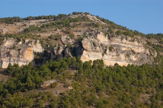 Cortados típicos de la Serranía de Cuenca	
