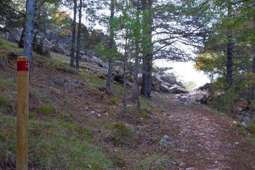 Baliza de Caminos Naturales en tramo a pie	