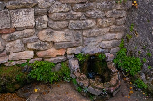 Detalle de la fuente de Martín Alhaja