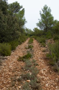Tramo pedregoso en la etapa 7 del Camino Natural del Júcar