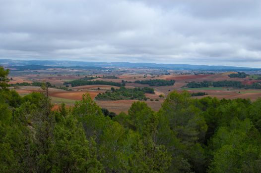 Panorámica con la serranía de Cuenca al fondo desde la masa de pinar