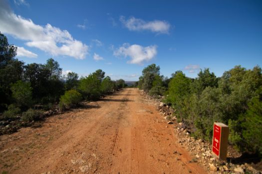 Casi todo el ramal discurre por un bosque mixto mediterráneo